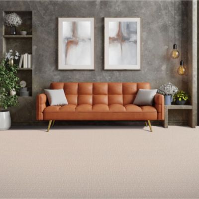 cozy carpet in a stylish living room